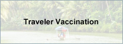 Traveler Vaccination